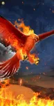 Fire Phoenix I