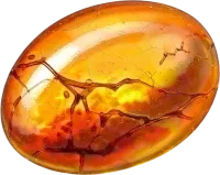 Amber