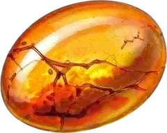 Amber