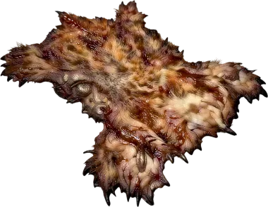 Beast Skin