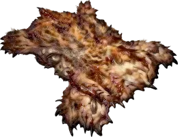 Beast Skin