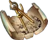 Blueprints