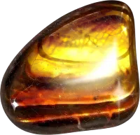Tiger's Eye