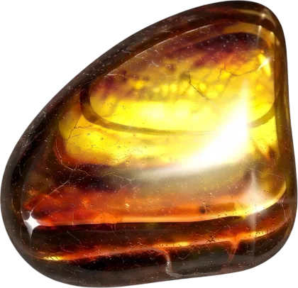 Tiger's Eye