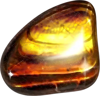 Tiger's Eye